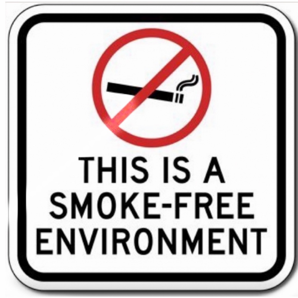 Peppermint & Pine Christmas ACCENT Rug 17.3” X 20.9” Vintage Station Wagon Tree - Picture 11 of 14